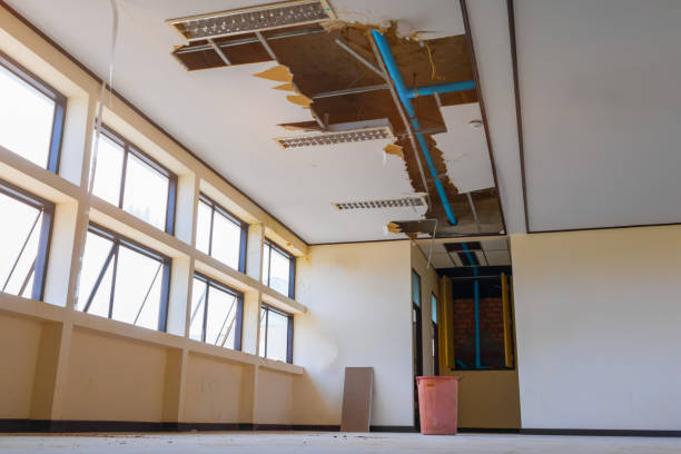 Best Emergency water damage restoration  in Leland, NC