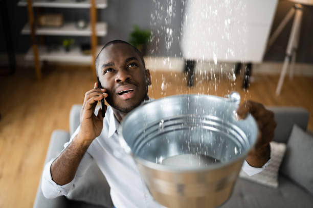 Best Flood damage cleanup  in Leland, NC