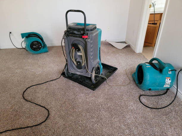 Best Carpet water damage restoration  in Leland, NC