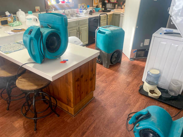 Carpet water damage restoration in Leland, NC