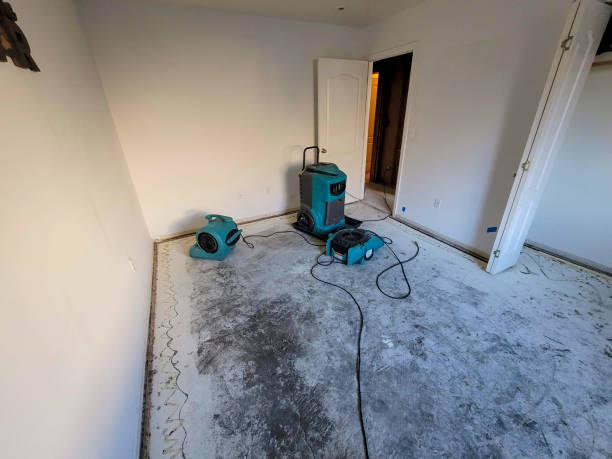 Best Water damage restoration services  in Leland, NC