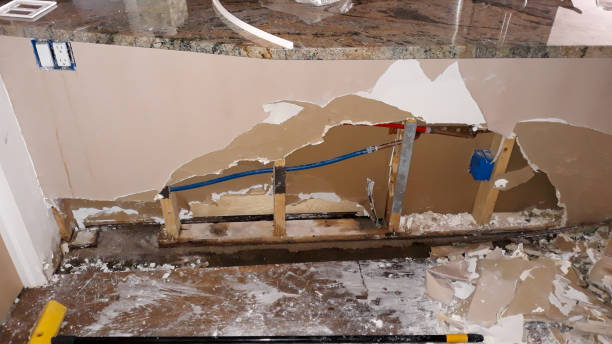 Best Water damage cleanup near me  in Leland, NC