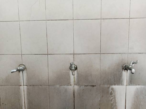 Best Water damage restoration near me  in Leland, NC