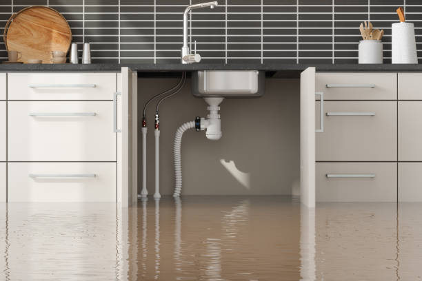 Best Water damage restoration near me  in Leland, NC