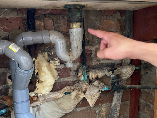 Best Professional water damage repair  in Leland, NC