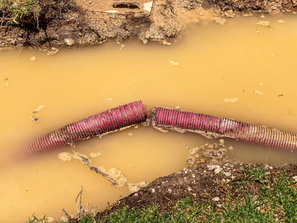 Best Local water damage restoration  in Leland, NC